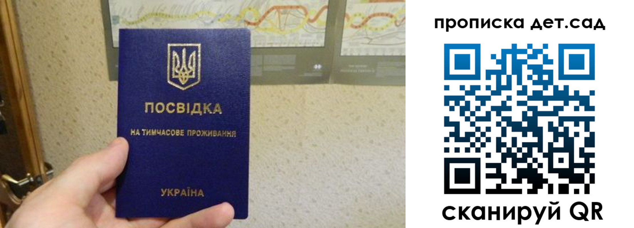 прописка для школы в Судогде